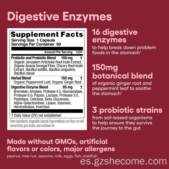 Prebióticos orgánicos Cápsulas de probióticos para la salud digestiva